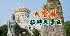 麻酥酥自慰在线观看中国浙江-绍兴大香林旅游风景区